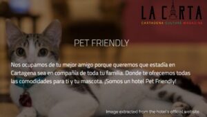 pet friendly hotels in cartagena