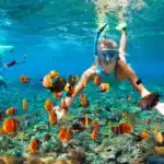 Cartagena: Rosario Islands and Playa Blanca Excursion with Snorkeling or Aquarium